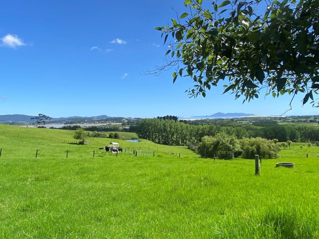 10B Coastview Lane, Wellsford - Carousel 2