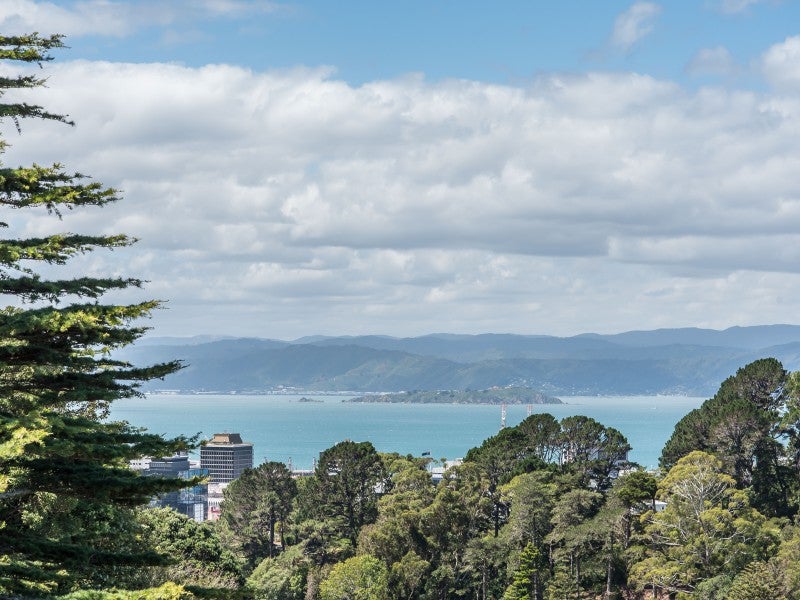 34 Orangi Kaupapa Road, Northland, Wellington - Carousel 2