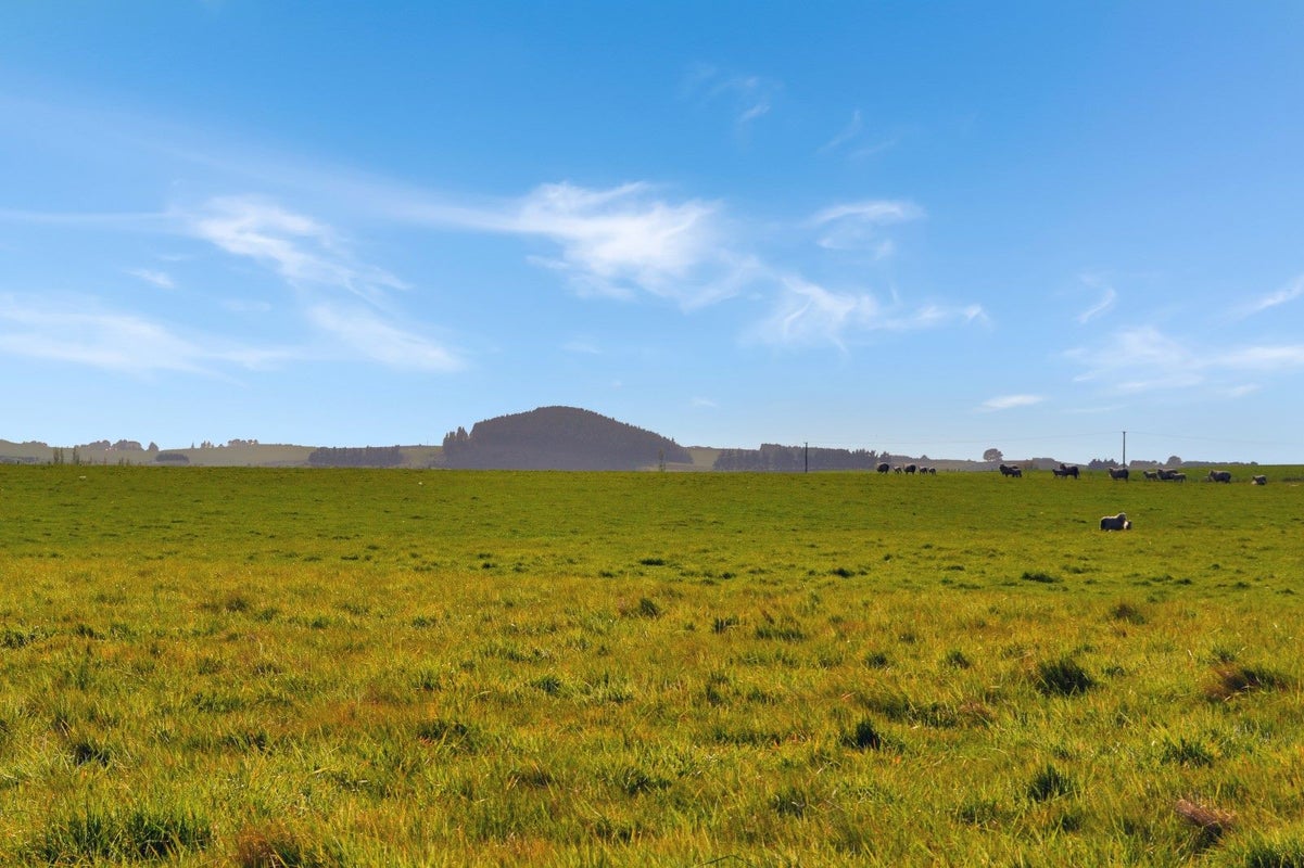 0 Lambton Street, Maheno, Oamaru - Carousel 2