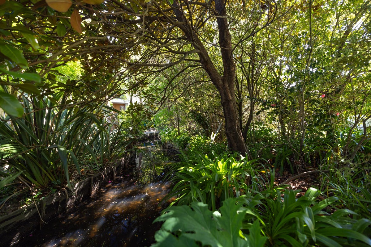 117 Hamilton Avenue, Ilam, Christchurch - Carousel 29