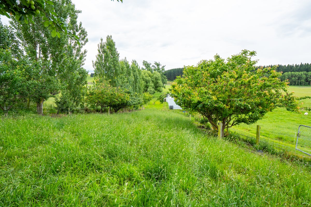 536 Rosewill Valley Road, Rosewill, Timaru - Carousel 2