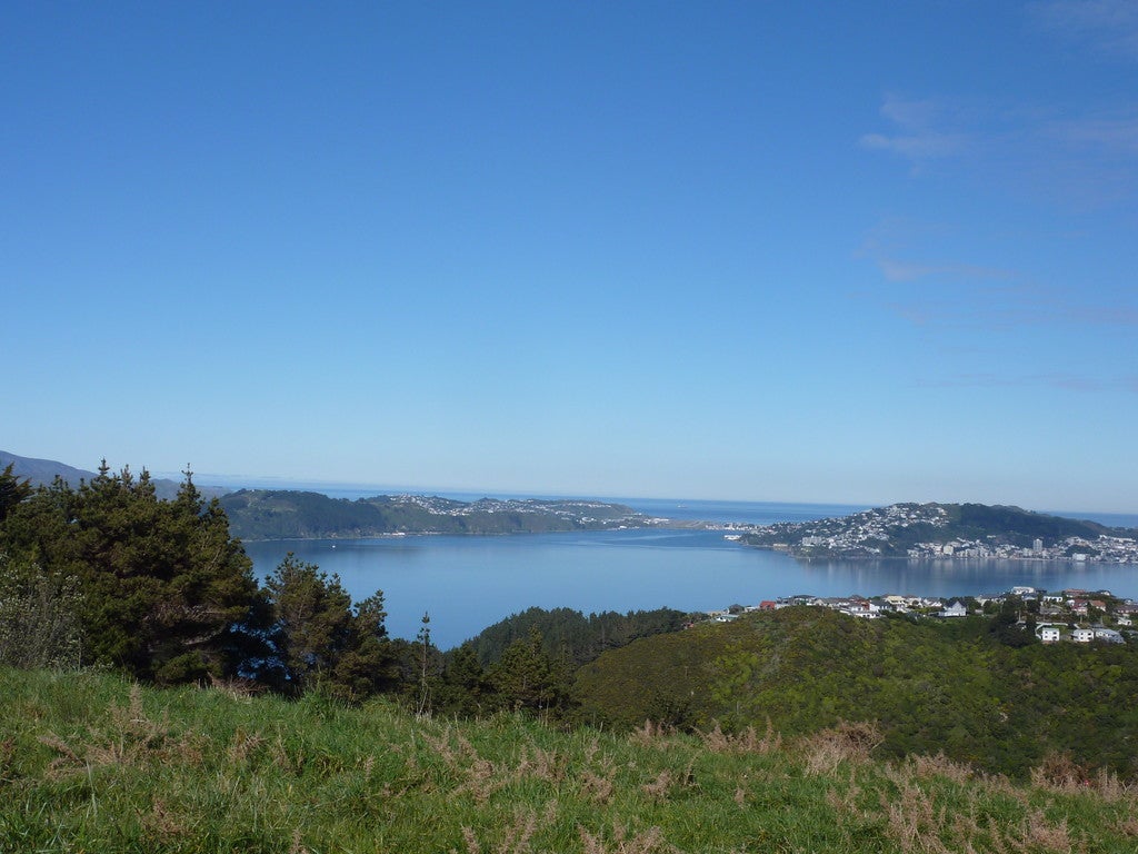 6 Spenmoor Street, Newlands, Wellington - Carousel 2