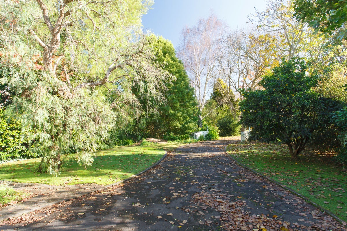 2B Bute PL, Aramoho, Whanganui - Carousel 24