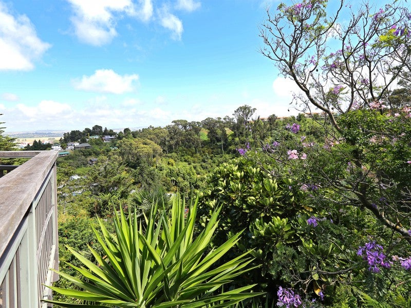 20 Simla Terrace, Hospital Hill, Napier - Carousel 21