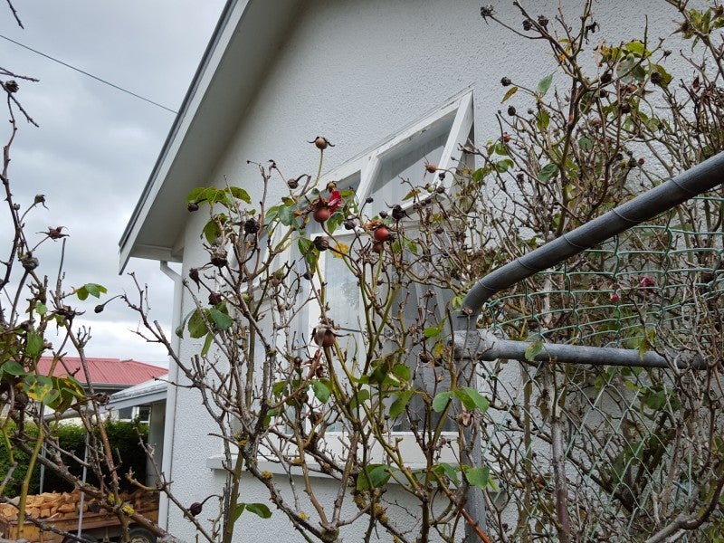 62 Cockburn Street, Kuripuni, Masterton - Carousel 8