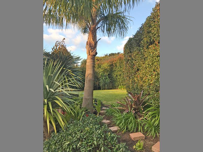 2/563 East Coast Road, Browns Bay, Auckland - Carousel 17