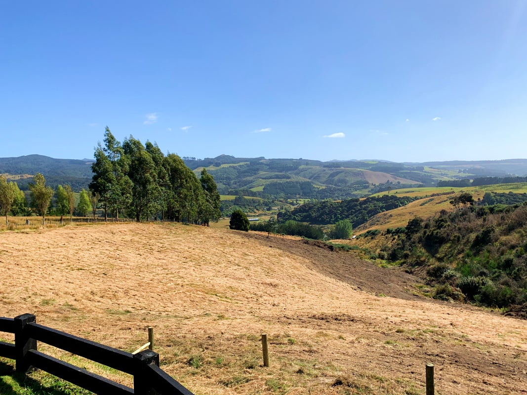 787 Mount Cargill Road, Mount Cargill, Waitati - Carousel 20