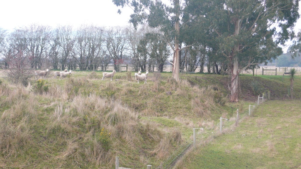 1900 North Eyre Road, West Eyreton, Rangiora - Carousel 2