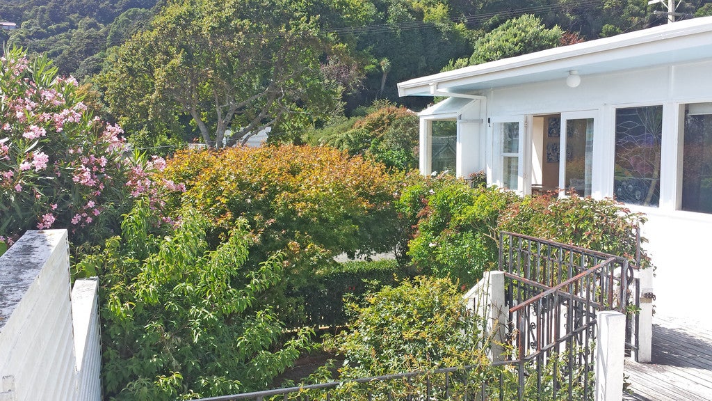 26 Nikau Street, Eastbourne, Lower Hutt - Carousel 26