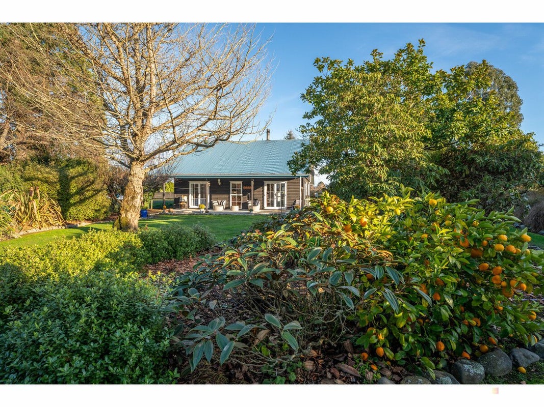 100 Oak Street, Orari - Carousel 1