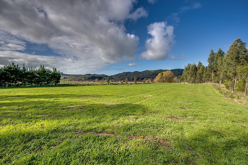 240 Matangi Road, Tuki Tuki, Havelock North - Carousel 1
