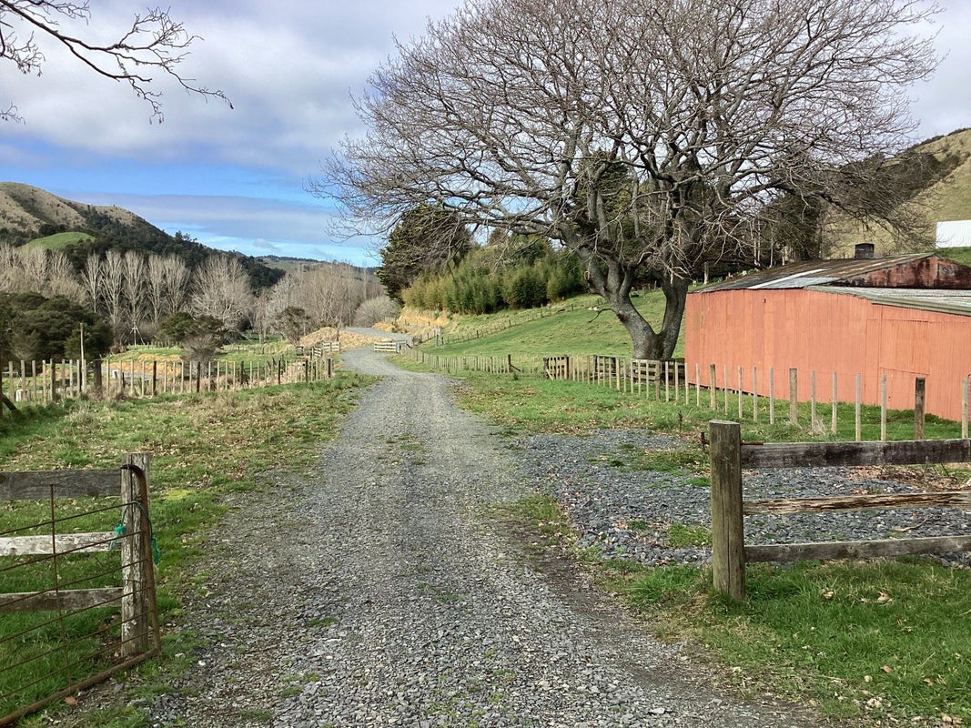 784 Mangawara Road, Hoe-O-Tainui, Tahuna - Carousel 2