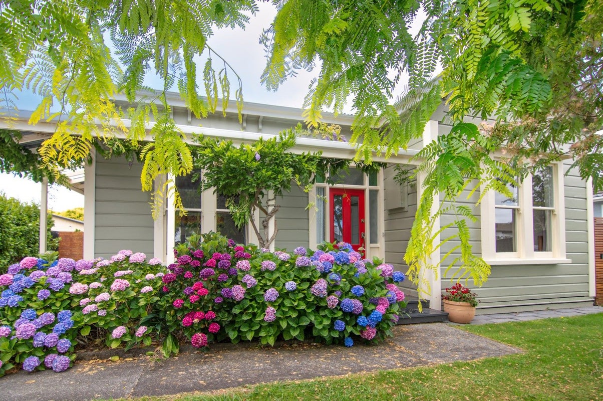 24 Alfred Street, Roslyn, Palmerston North - Carousel 22