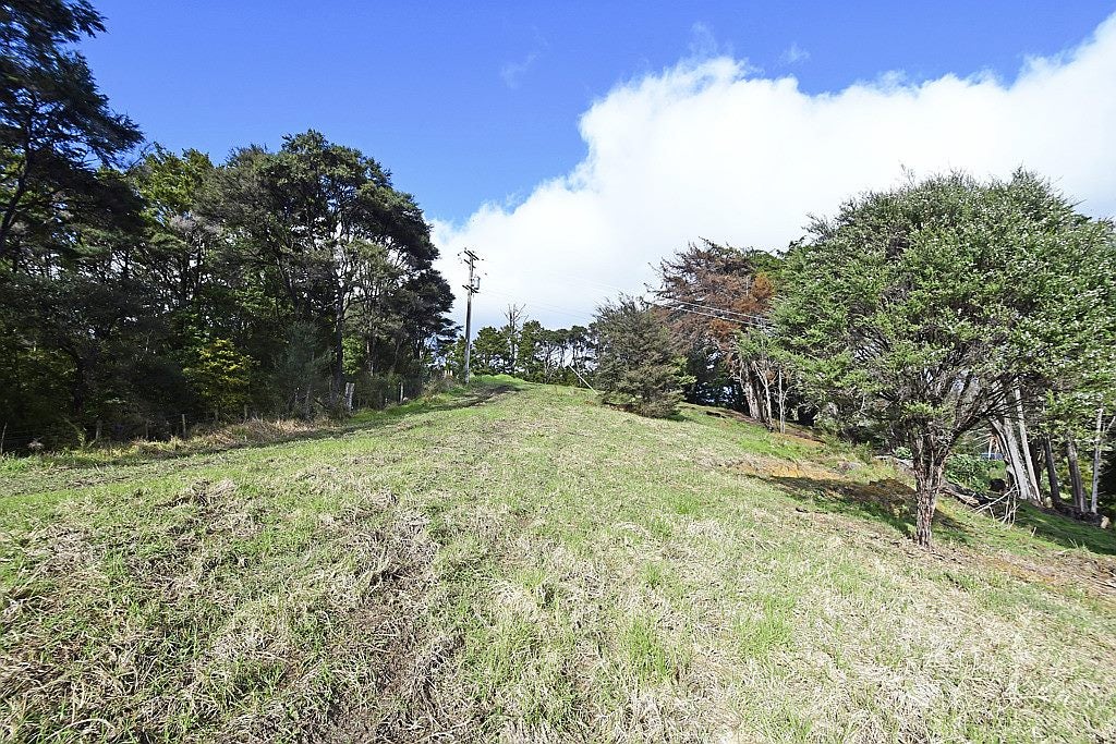 99 Birdsall Road, Whangateau - Carousel 1