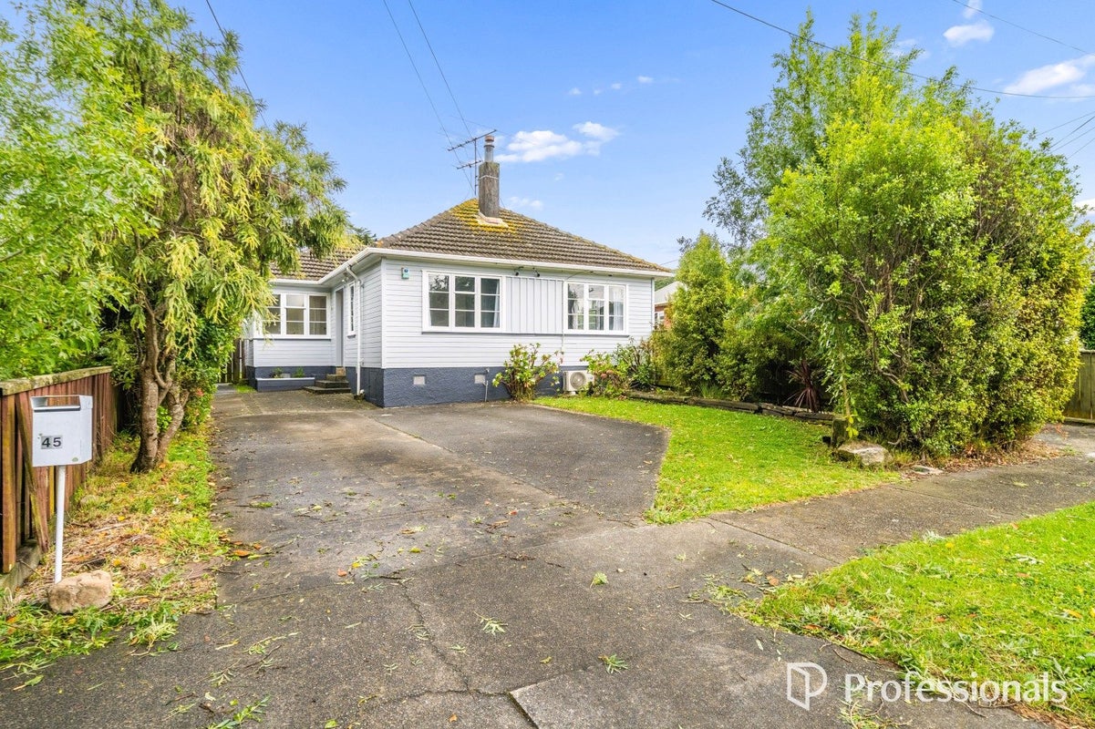 45A Molesworth Street, Taita, Lower Hutt - Carousel 1