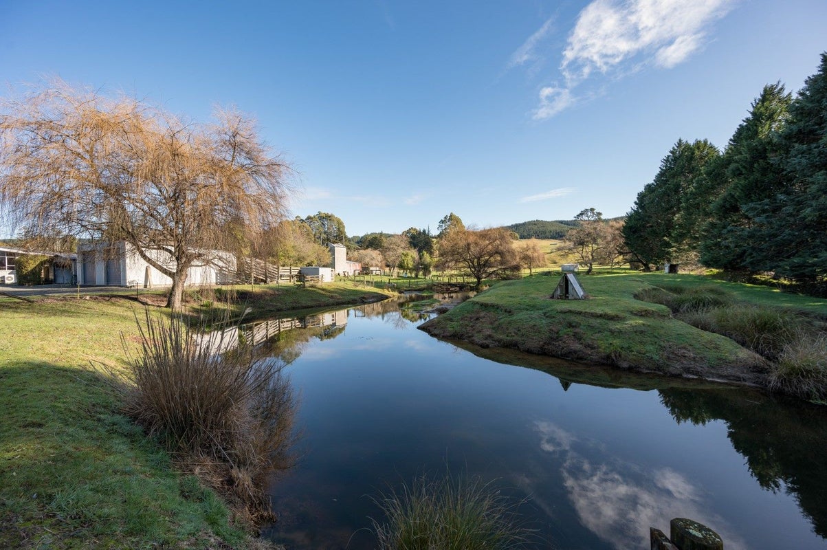 690 Wakefield-Kohatu Highway, Foxhill - Carousel 20