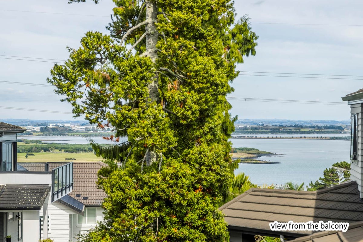 300A Hillsborough Road, Hillsborough, Auckland - Carousel 2