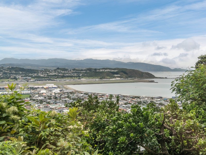 19 Sutherland Crescent, Melrose, Wellington - Carousel 2