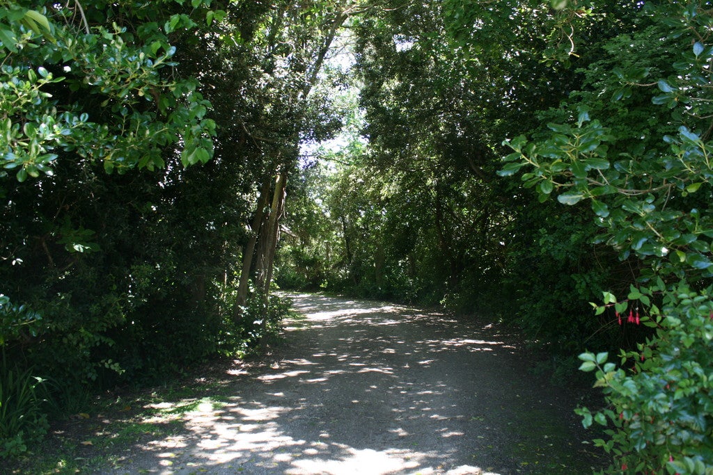 136 State Highway 3, Westmere, Whanganui - Carousel 20