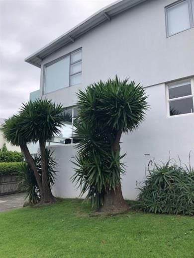 4/74 St Heliers Bay Road, St Heliers, Auckland - Carousel 14