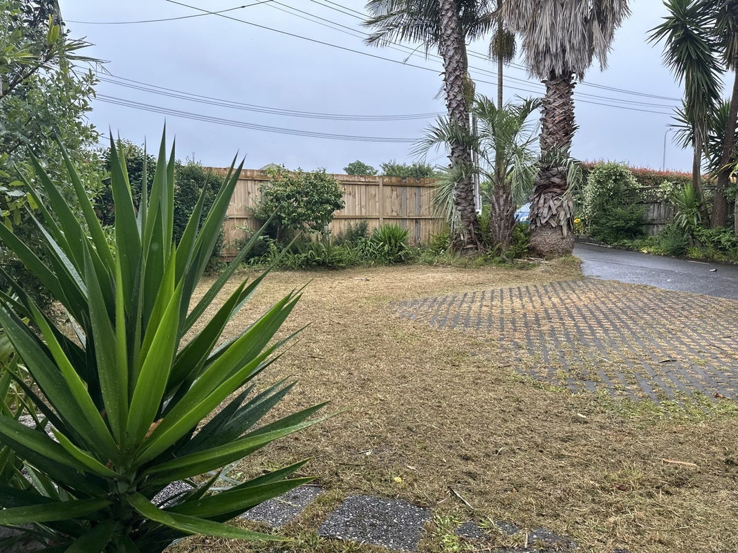 219 Mount Albert Road, Wesley, Auckland - Carousel 9