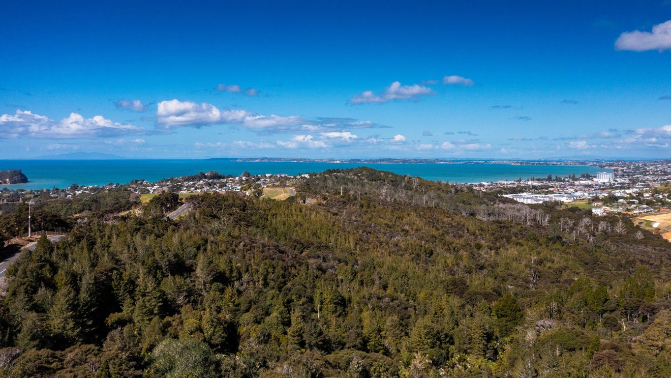 160 Hillcrest Road, HATFIELDS BEACH, OREWA - Carousel 2