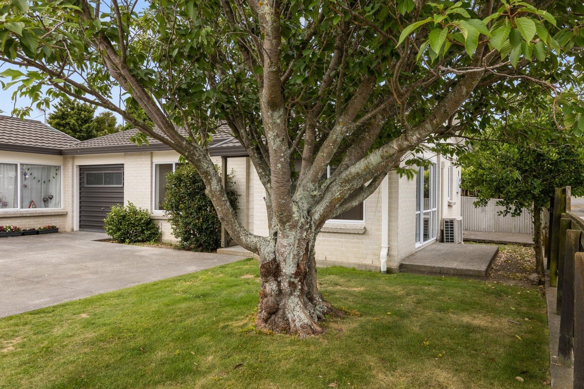 1/1400 Woodstock Avenue, Mayfair, Hastings - Carousel 11