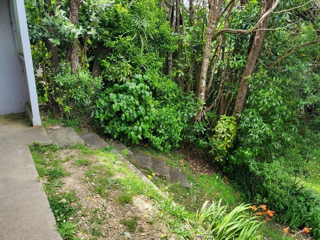 67B Thurleigh Grove, Karori, Wellington - Carousel 16