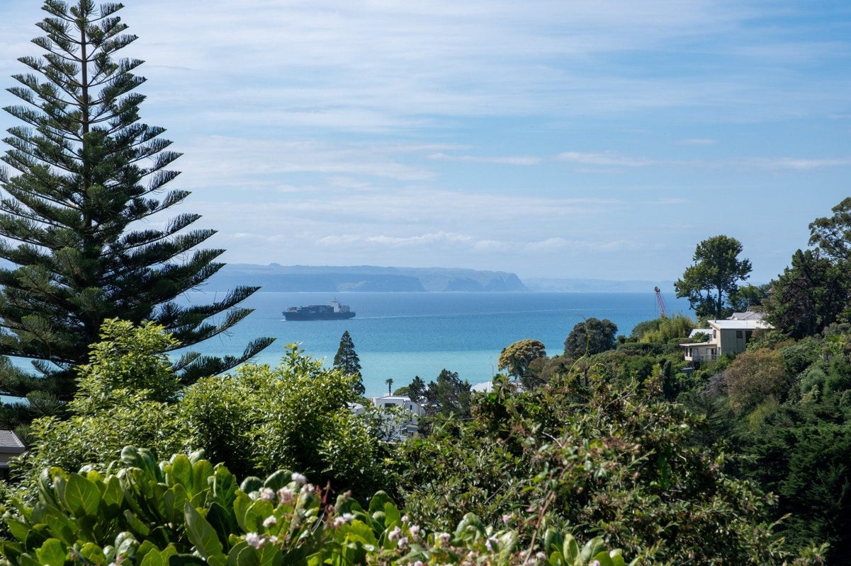 31 Fitzroy Road, Bluff Hill, Napier - Carousel 2