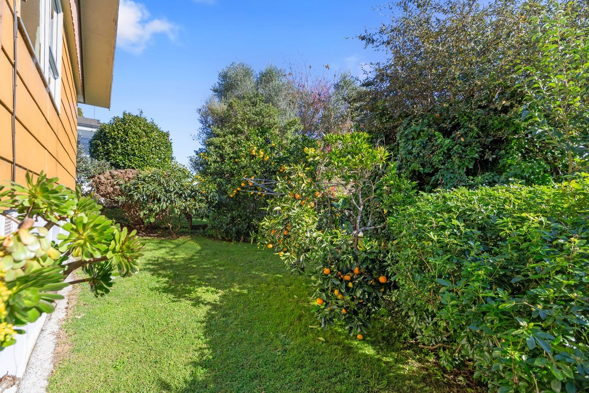 111 Hynds Road, Gate Pa, Tauranga - Carousel 19