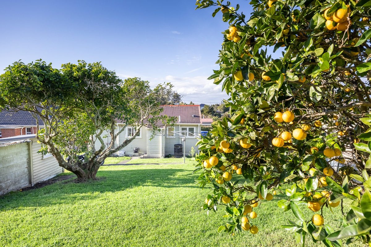 34 Plunket Street, Dargaville, Dargaville - Carousel 1