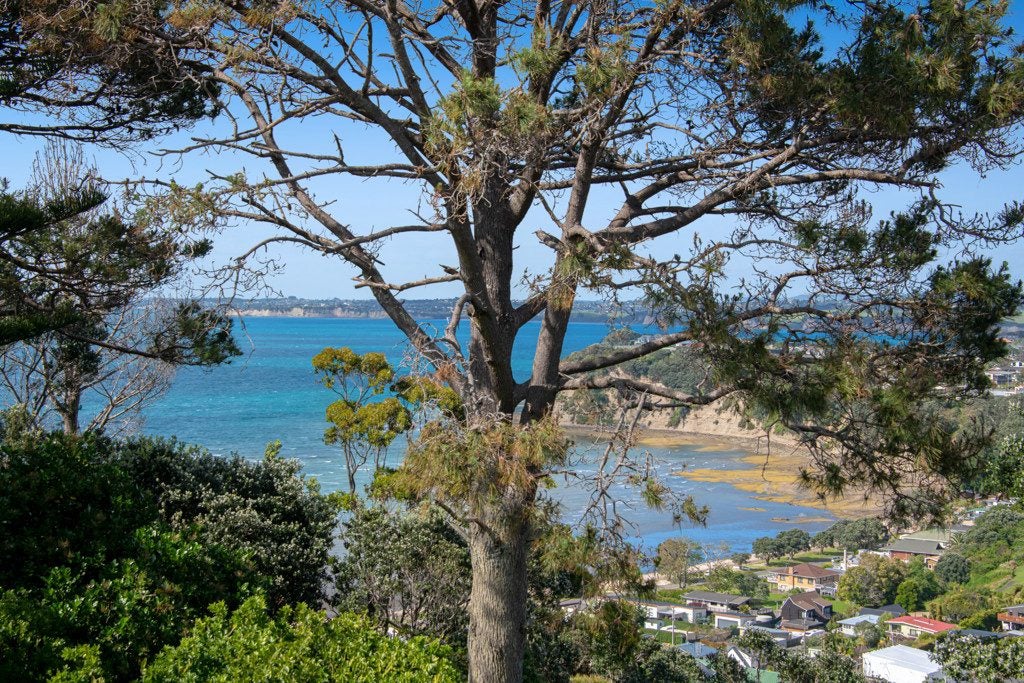 23 Roberts Road, Matakatia, Whangaparaoa - Carousel 2