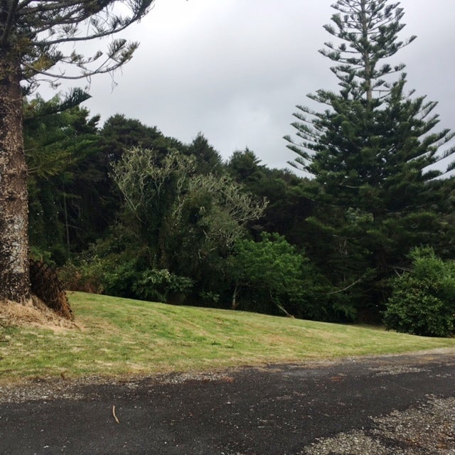 6224 State Highway 1, Moerewa, KAWAKAWA - Carousel 26