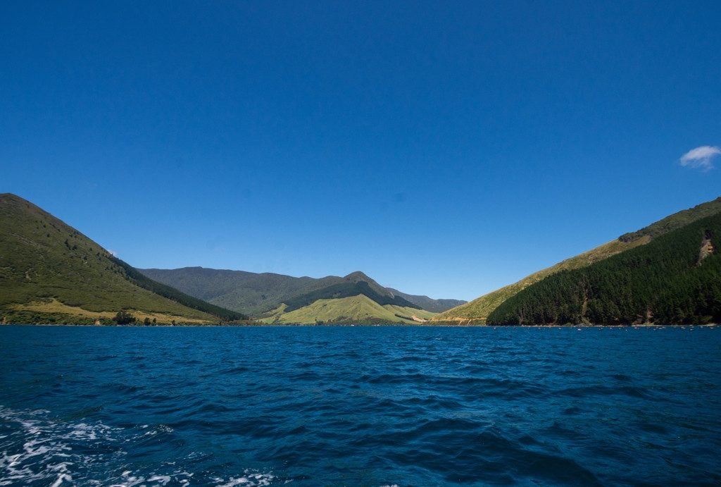 206 Clova Bay, TOTARANUI, MARLBOROUGH SOUNDS - Carousel 32