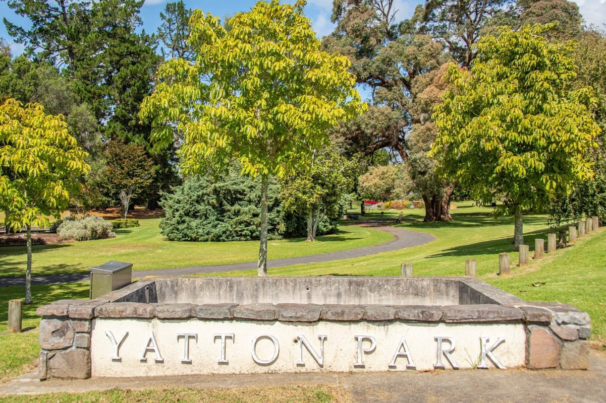 51 Harrier Street, Parkvale, Tauranga - Carousel 13