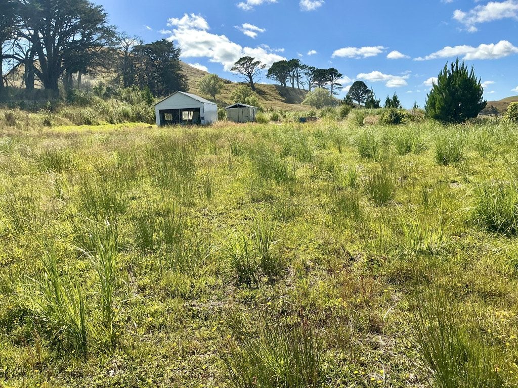 1391 Kaipara Hills Road, Kaipara Flats, Warkworth - Carousel 14