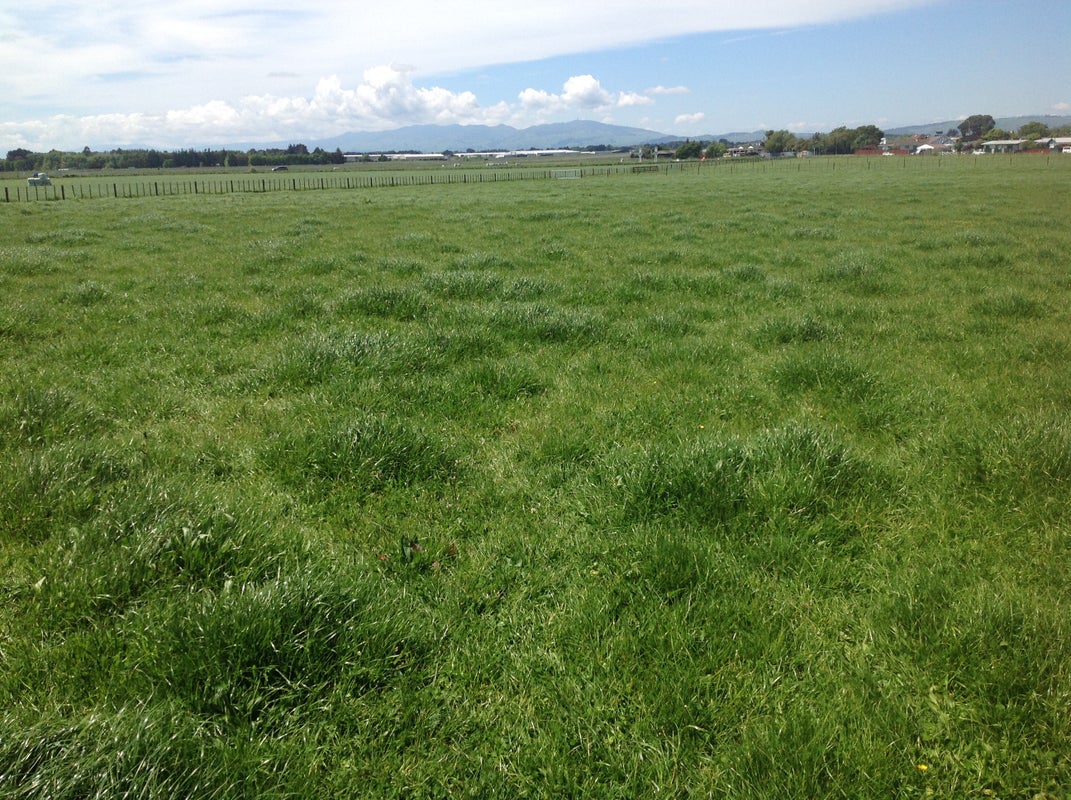 14 Flygers Line, Milson, Palmerston North - Carousel 1