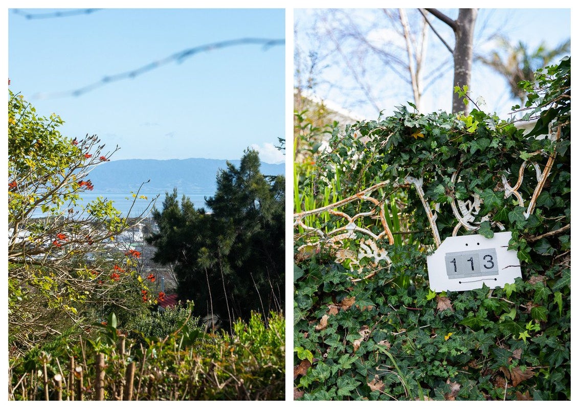 113 Grafton Road, Thames - Carousel 14