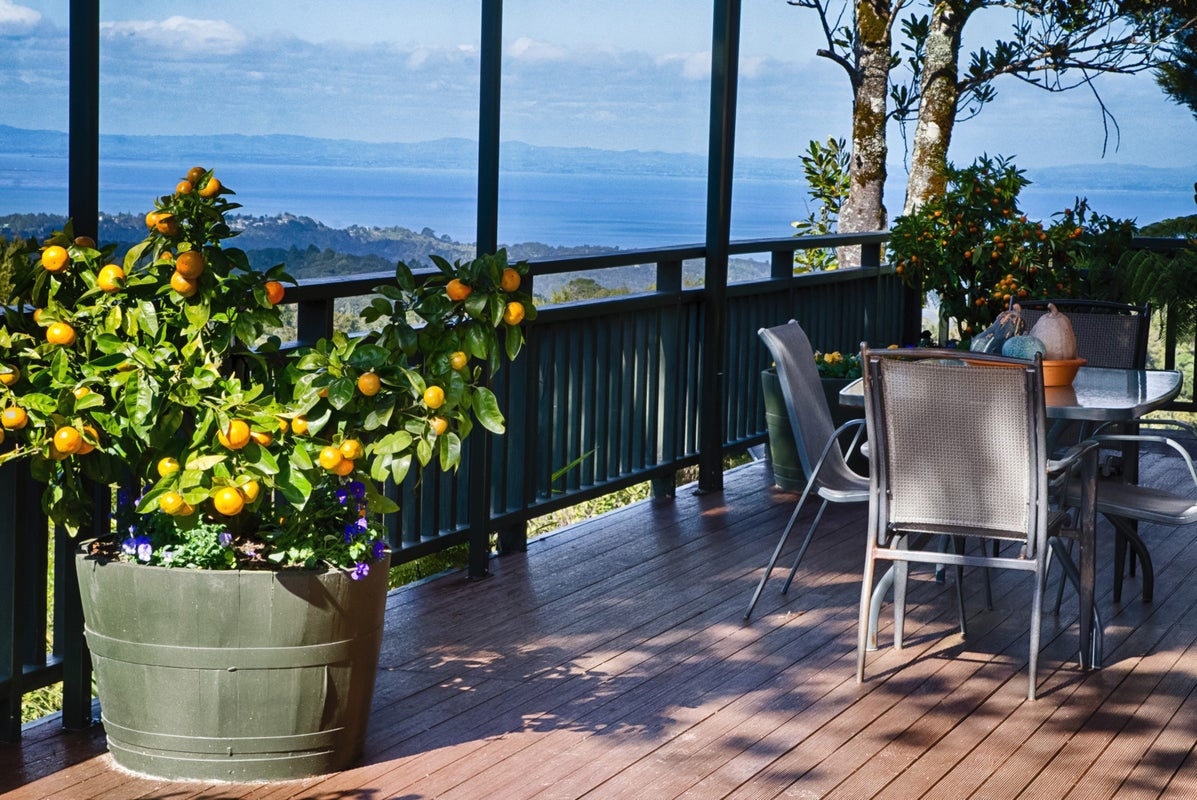 424A Scenic Drive, Waiatarua, Auckland - Carousel 1