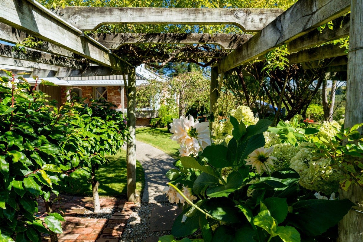 54 Scurr Road, Scroggs Hill, Dunedin - Carousel 50