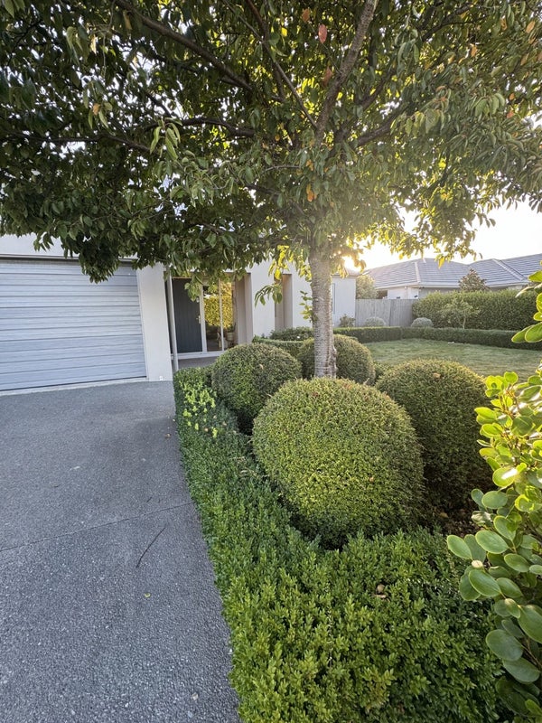 58 Valiant Street, Wigram, Christchurch - Carousel 2
