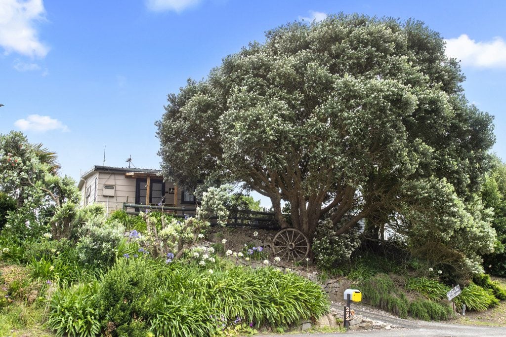 222 Maunsell Road, Port Waikato - Carousel 1