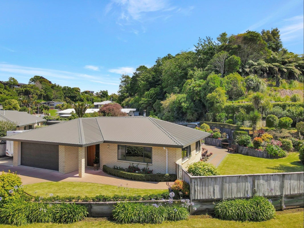 38 Roto Street, Hurdon, New Plymouth - Carousel 1