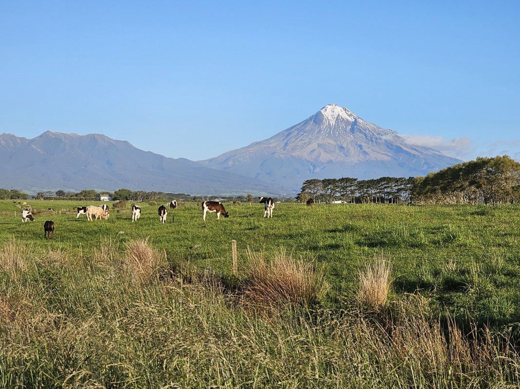7104 South Road, Warea, New Plymouth - Carousel 30