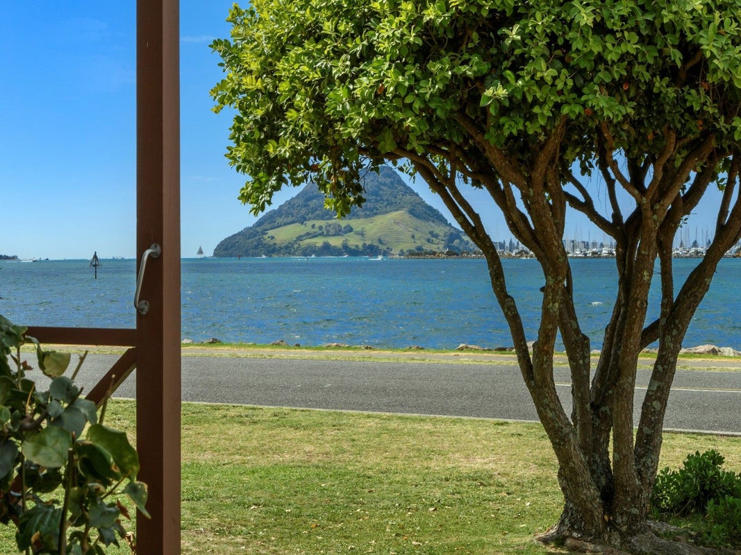 6 Harbour Drive, Otumoetai, Tauranga - Carousel 2