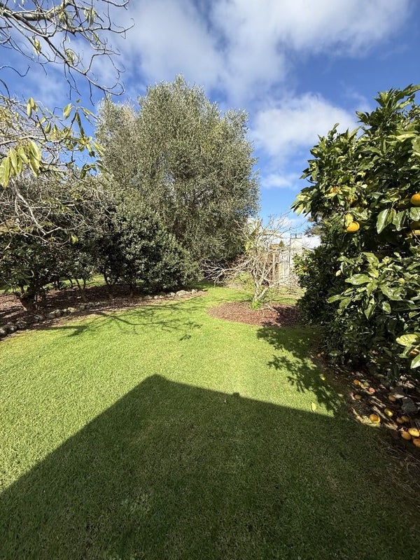21 Amalin Drive, Te Kamo, Whangarei - Carousel 33