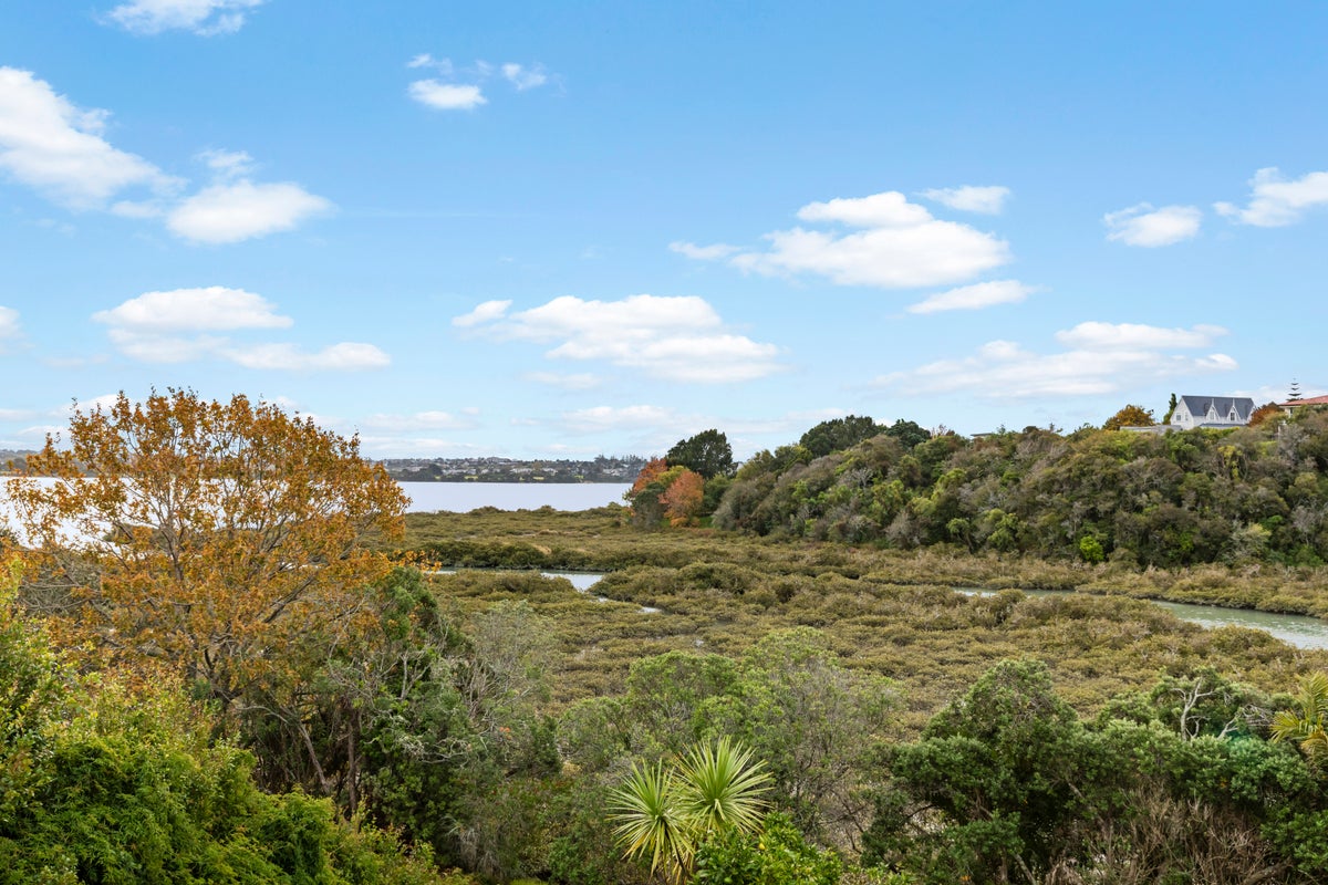 23 Davita Place, Farm Cove, Auckland - Carousel 35