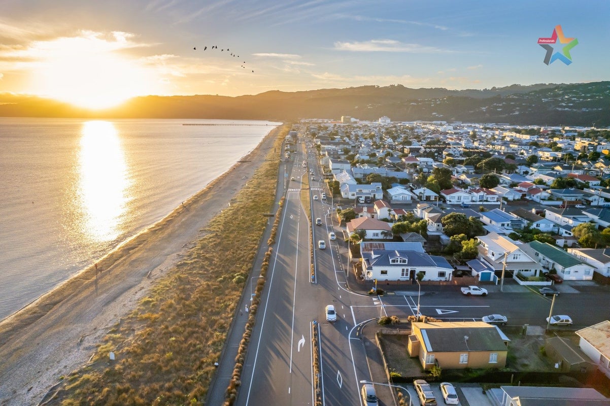 217 The Esplanade, Petone, Lower Hutt - Carousel 21