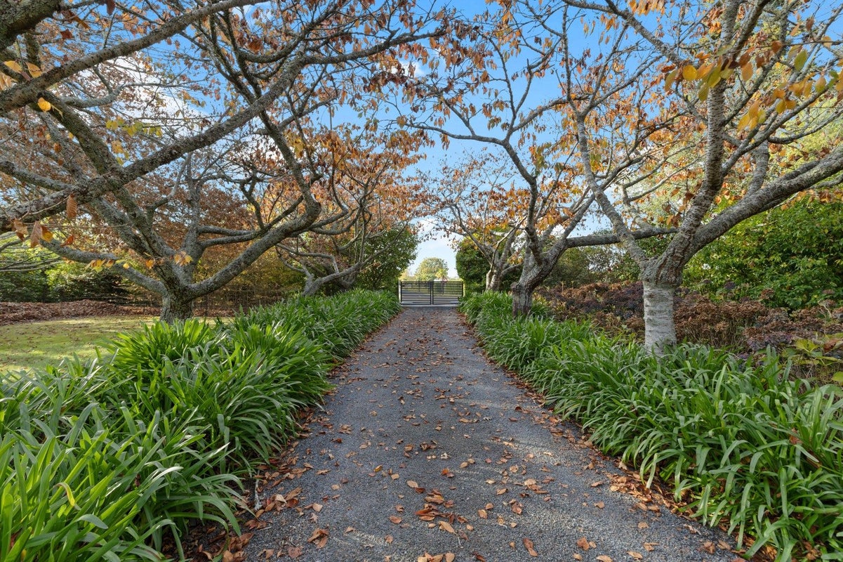 328 Newell Road, Tamahere, Hamilton - Carousel 2