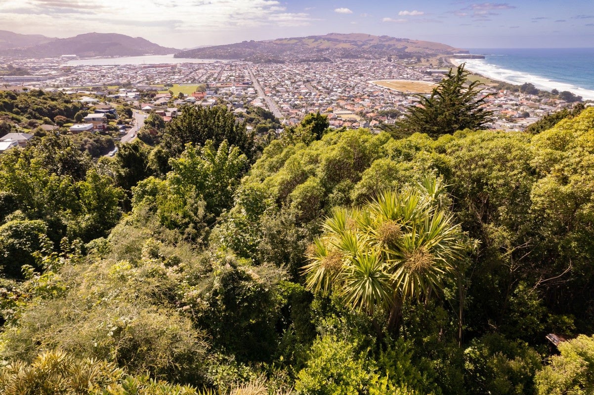 54A Earls Road, Saint Clair, Dunedin - Carousel 1